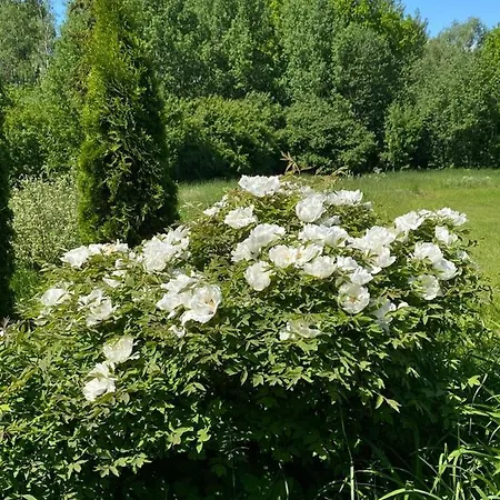 Guest house Pilsetnieki Slampe